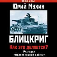 бесплатно читать книгу Блицкриг: как это делается? Секрет «молниеносной войны» автора Юрий Мухин