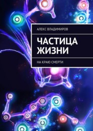 бесплатно читать книгу Частица жизни. На краю смерти автора  Алекс Владимиров