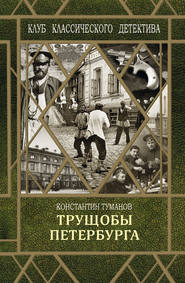 бесплатно читать книгу Трущобы Петербурга автора Константин Туманов