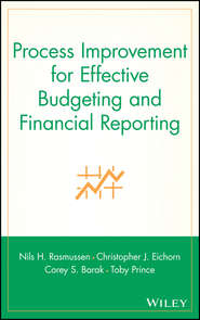 бесплатно читать книгу Process Improvement for Effective Budgeting and Financial Reporting автора Toby Prince