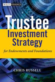 бесплатно читать книгу Trustee Investment Strategy for Endowments and Foundations автора 