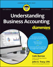бесплатно читать книгу Understanding Business Accounting For Dummies - UK автора Colin Barrow