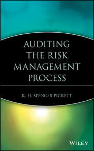 бесплатно читать книгу Auditing the Risk Management Process автора K. H. Spencer Pickett