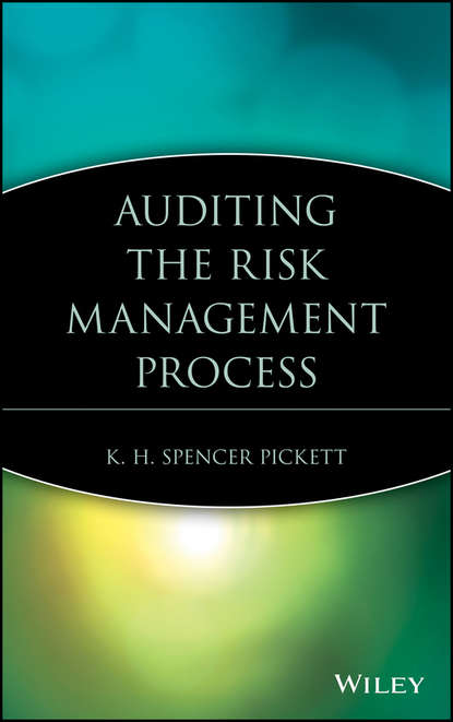 бесплатно читать книгу Auditing the Risk Management Process автора K. H. Spencer Pickett