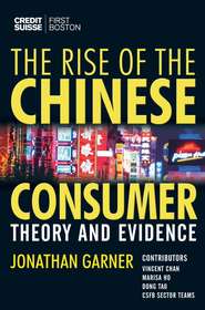 бесплатно читать книгу The Rise of the Chinese Consumer автора 