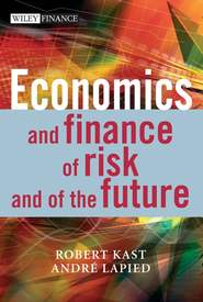 бесплатно читать книгу Economics and Finance of Risk and of the Future автора Robert Kast