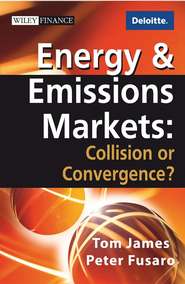 бесплатно читать книгу Energy and Emissions Markets автора Tom James