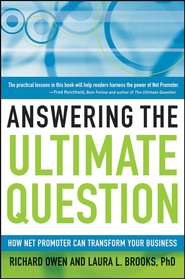 бесплатно читать книгу Answering the Ultimate Question автора Richard Owen