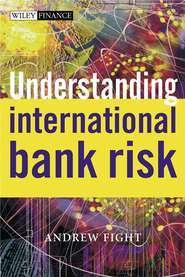 бесплатно читать книгу Understanding International Bank Risk автора 