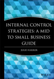 бесплатно читать книгу Internal Control Strategies автора 
