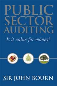 бесплатно читать книгу Public Sector Auditing автора 