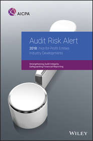 бесплатно читать книгу Audit Risk Alert автора 