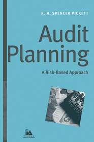 бесплатно читать книгу Audit Planning автора K. H. Spencer Pickett