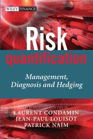 бесплатно читать книгу Risk Quantification автора Jean-Paul Louisot