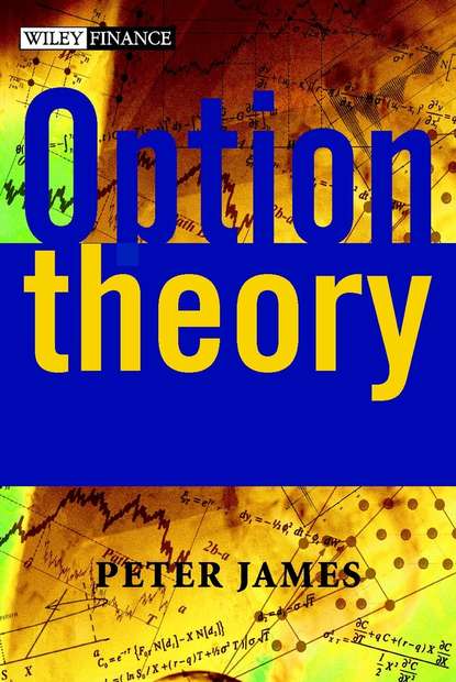 Option Theory