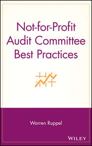 бесплатно читать книгу Not-for-Profit Audit Committee Best Practices автора 