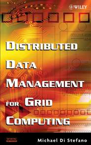 бесплатно читать книгу Distributed Data Management for Grid Computing автора 