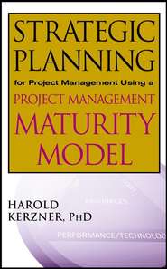 бесплатно читать книгу Strategic Planning for Project Management Using a Project Management Maturity Model автора 