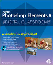 бесплатно читать книгу Photoshop Elements 8 Digital Classroom автора AGI Team