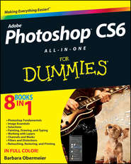 бесплатно читать книгу Photoshop CS6 All-in-One For Dummies автора Barbara Obermeier