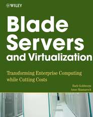 бесплатно читать книгу Blade Servers and Virtualization автора Barb Goldworm