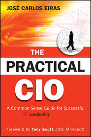 бесплатно читать книгу The Practical CIO автора Tony Scott