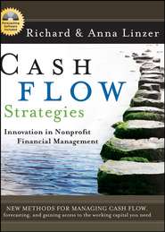 бесплатно читать книгу Cash Flow Strategies автора Anna Linzer