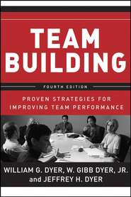 бесплатно читать книгу Team Building автора Edgar Schein