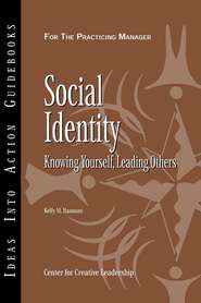 бесплатно читать книгу Social Identity автора Kelly Hannum