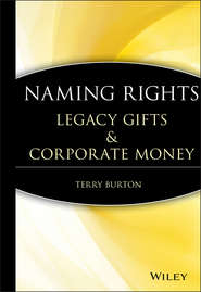 бесплатно читать книгу Naming Rights автора 