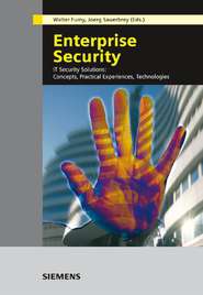 бесплатно читать книгу Enterprise Security автора Walter Fumy