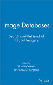 бесплатно читать книгу Image Databases автора Vittorio Castelli