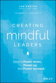 бесплатно читать книгу Creating Mindful Leaders автора 