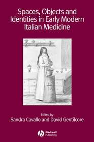 бесплатно читать книгу Spaces, Objects and Identities in Early Modern Italian Medicine автора David Gentilcore