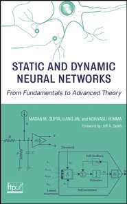 бесплатно читать книгу Static and Dynamic Neural Networks автора Madan Gupta
