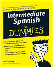бесплатно читать книгу Intermediate Spanish For Dummies автора Gail Stein