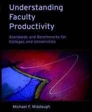 бесплатно читать книгу Understanding Faculty Productivity автора 