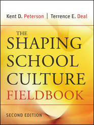 бесплатно читать книгу The Shaping School Culture Fieldbook автора Terrence Deal
