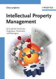 бесплатно читать книгу Intellectual Property Management автора Claas Junghans