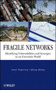 бесплатно читать книгу Fragile Networks автора Anna Nagurney