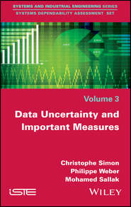 бесплатно читать книгу Data Uncertainty and Important Measures автора Philippe Weber