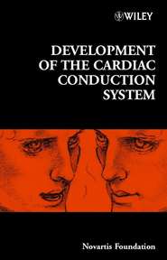 бесплатно читать книгу Development of the Cardiac Conduction System автора Jamie Goode