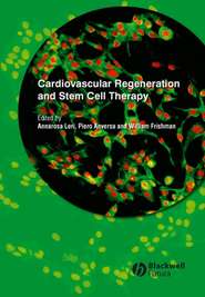 бесплатно читать книгу Cardiovascular Regeneration and Stem Cell Therapy автора Annarosa Leri