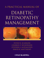 бесплатно читать книгу A Practical Manual of Diabetic Retinopathy Management автора David Matthews