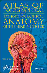 бесплатно читать книгу Atlas of Topographical and Pathotopographical Anatomy of the Head and Neck автора 