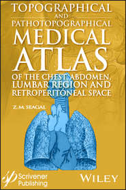 бесплатно читать книгу Topographical and Pathotopographical Medical Atlas of the Chest, Abdomen, Lumbar Region, and Retroperitoneal Space автора 