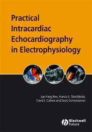 бесплатно читать книгу Practical Intracardiac Echocardiography in Electrophysiology автора Jian-Fang Ren
