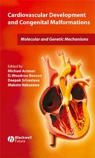 бесплатно читать книгу Cardiovascular Development and Congenital Malformations автора Michael Artman