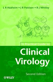 бесплатно читать книгу A Practical Guide to Clinical Virology автора Richard Whitley