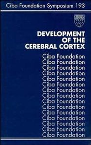бесплатно читать книгу Development of the Cerebral Cortex автора Gail Cardew